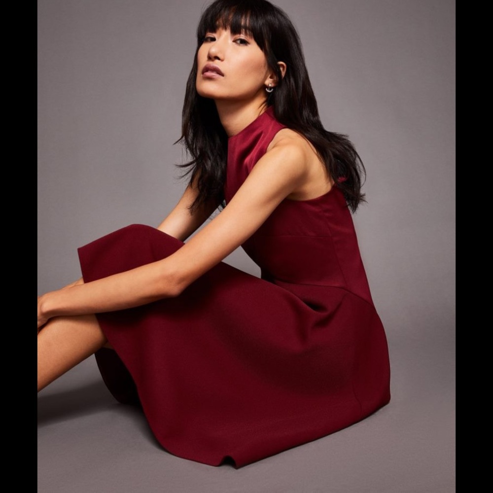 {Ted Baker} Dress - Picture 5 of 9